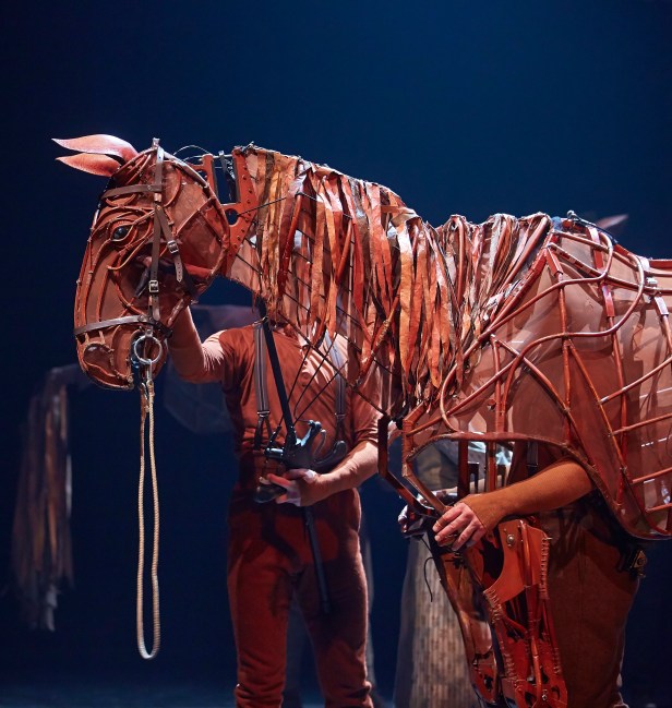 WAR HORSELondon Cast 2014