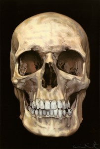 Damien Hirst 1 - The Skull Beneath the Skin (2005), Courtesy Paul Stolper Gallery © Damien Hirst and Science Ltd. All rights reserved, DACS 2015 (1)