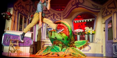 Sam Lupton as Seymour in Little Shop of Horrors. Photograph by Matt Martin