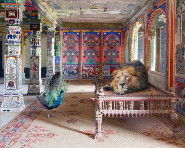 India Song, The Lovesick Prince, Aam Khas, Dungarpur, 2013 © Karen Knorr, courtesy of Augusta Edwards