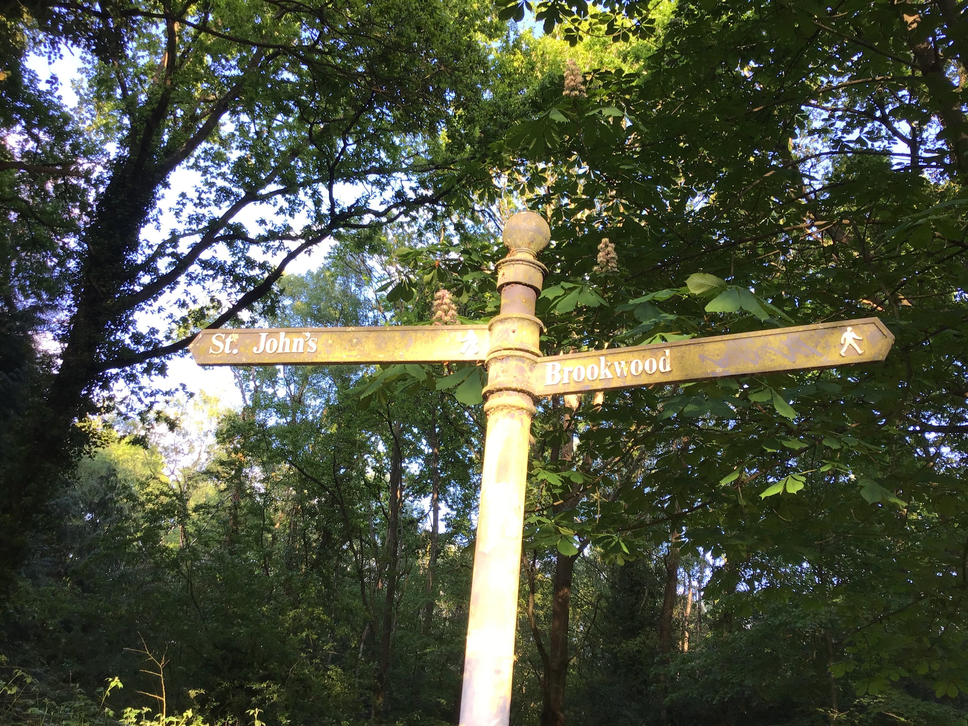 A Set of Five Haiku: On The Basingstoke Canal