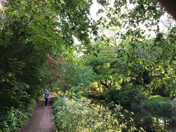 Liz Lennie haiku no 1