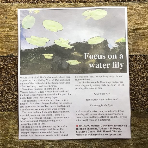 Liz Lennie haiku article 2