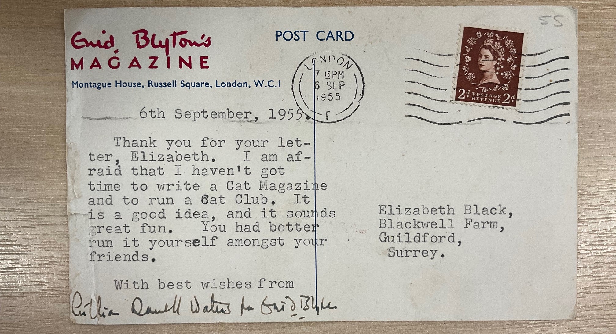 Cats with fewer than nine lives … or how Liz Lennie got a disappointing reply from Enid Blyton